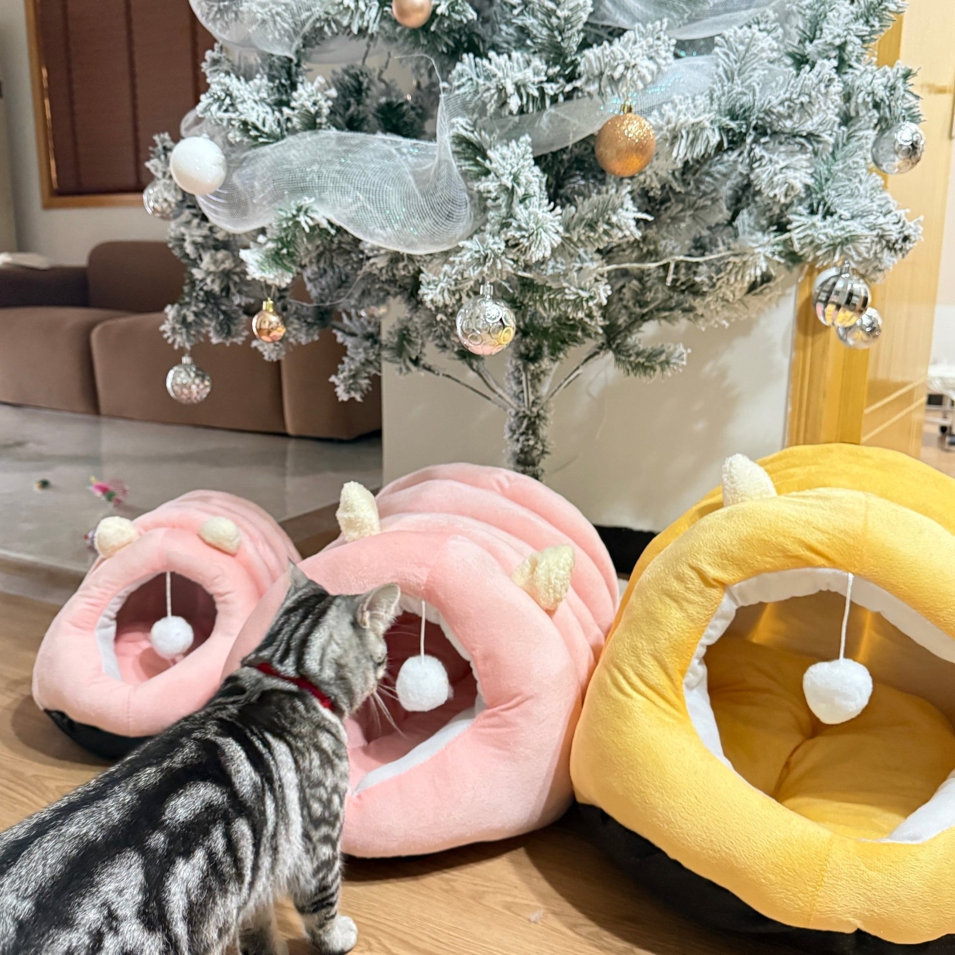 Cat bed house - Meow Lucky Scoops